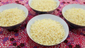 Sticky Rice Coated with Mung Bean--easy recipe with how-to video | recipe from runawayrice.com