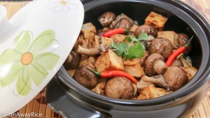 Braised Tofu and Mushrooms (Dau Hu Kho Nam) - Full of flavor and texture! | recipe from runwayrice.com