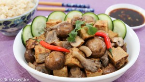 Vegetarian's Delight: Braised Tofu and Mushrooms | recipe from runwayrice.com