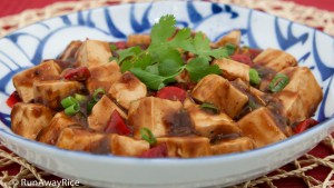Tofu in Black Bean Sauce (Dau Hu Sot Tuong Den) - a Vegetarian's Delight | recipe from runawayrice.com