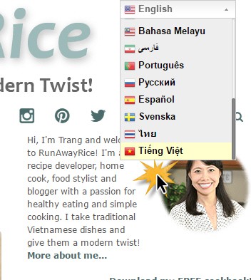 New Website Features - Translate RunAwayRice Recipes to Multiple Languages including Vietnamese. | runawayrice.com
