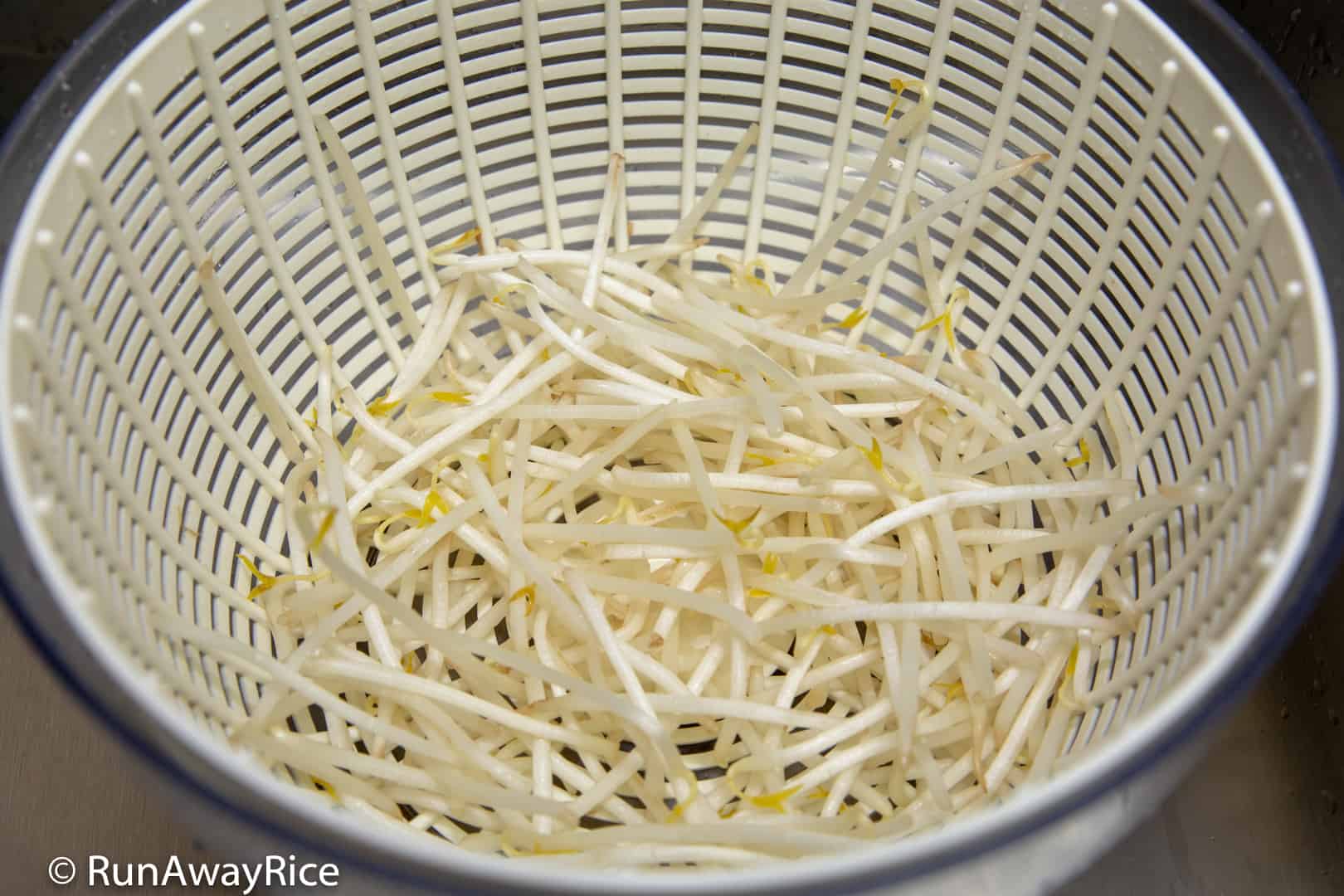 http://runawayrice.com/wp-content/uploads/2018/07/Salad-Spinner-Spin-Bean-Sprouts.jpg