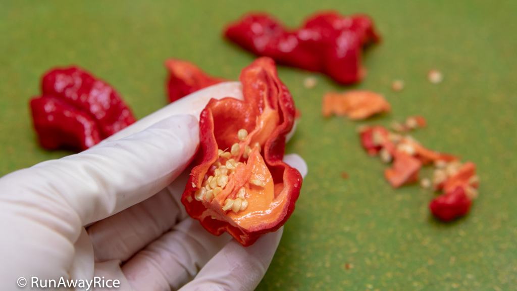 Ghost Pepper / Bhut Jolokia - Dare to Try this Insanely Hot Pepper? | runawayrice.com