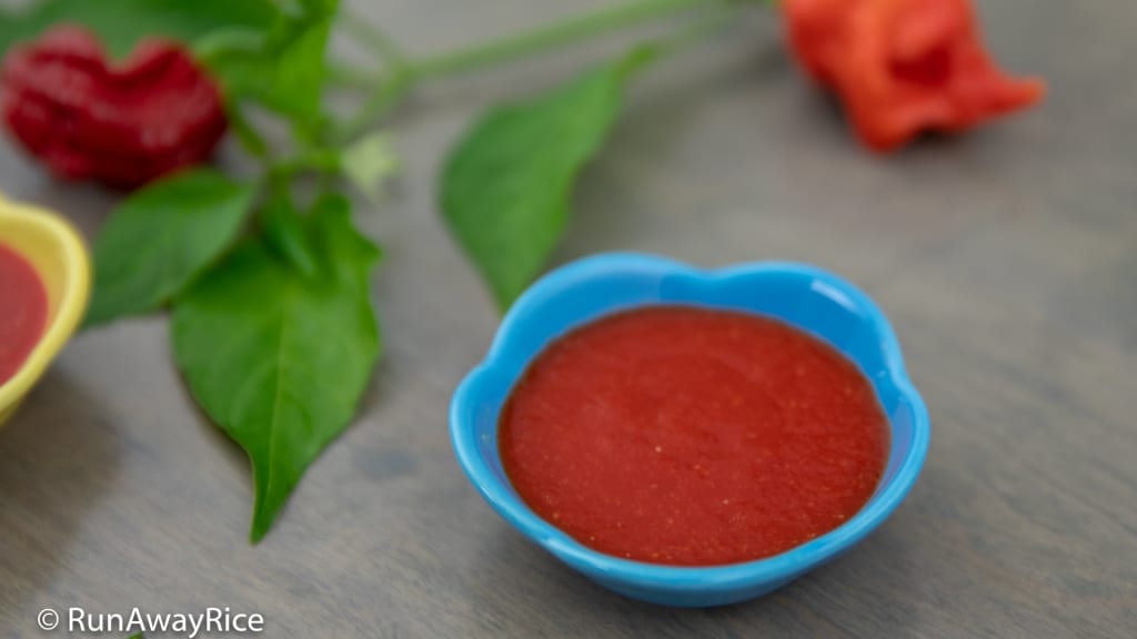 Chili Sauce / Hot Sauce (Tuong Ot) - Homemade Sriracha Sauce | recipe from runawayrice.com