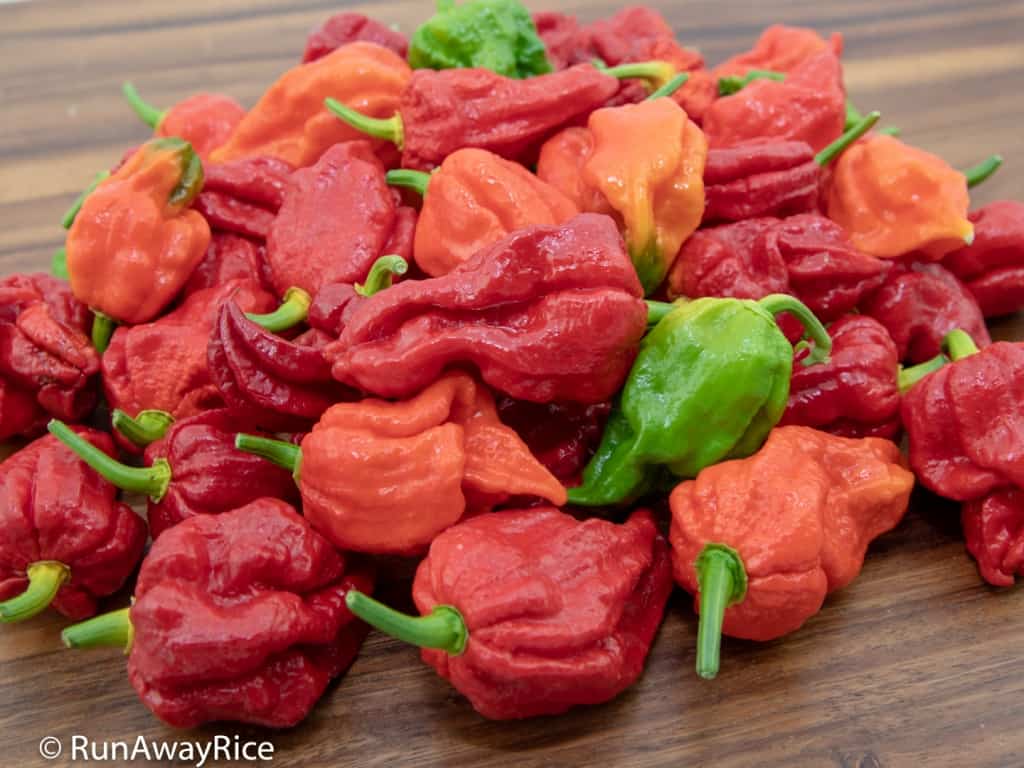Ghost Pepper / Bhut Jolokia - Dare to Try this Hot Pepper? | runawayrice.com