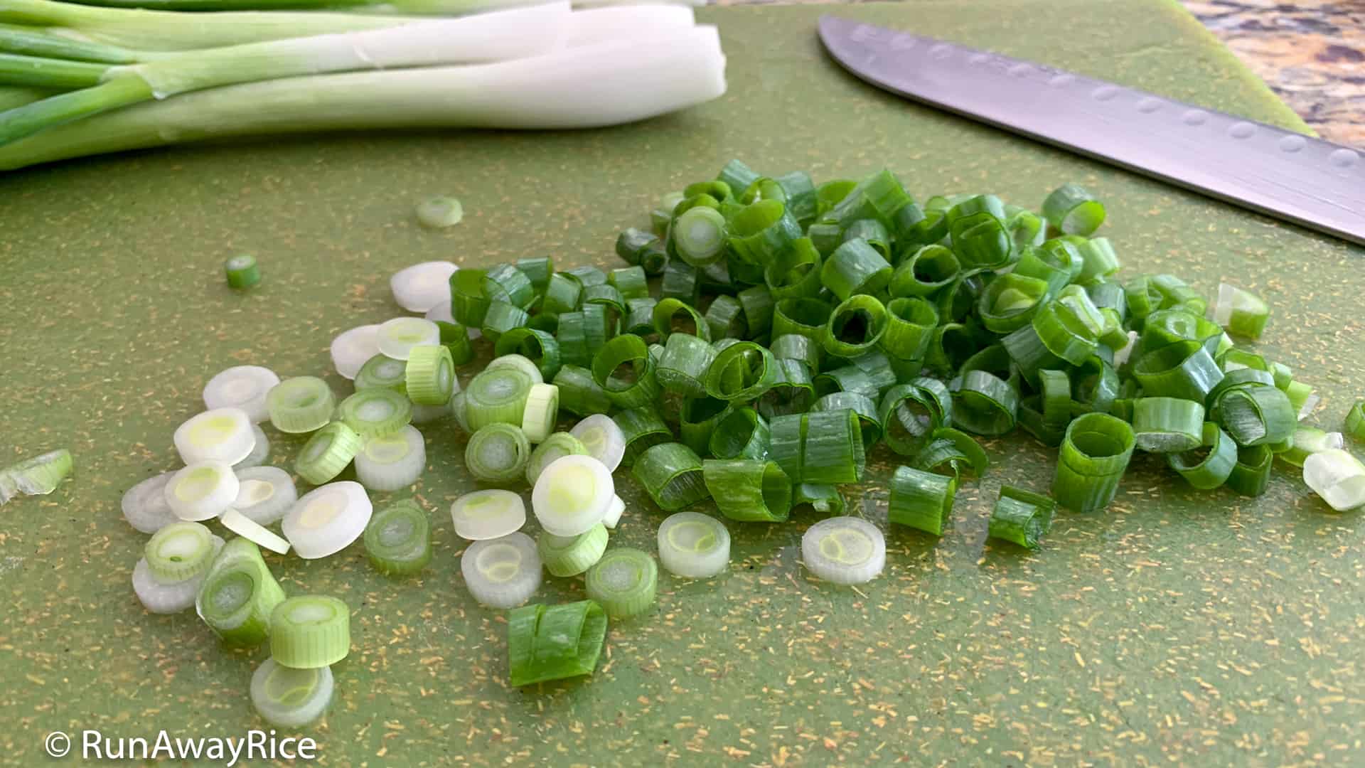 How to Freeze Green Onion - It's a Veg World After All®