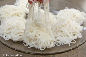 Fresh Rice Noodle / Rice Vermicelli (Bun Tuoi) - Gluten-Free and Healthy | recipe from runawayrice.com