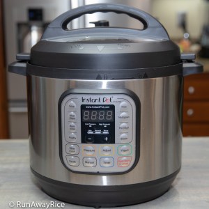 Instant Pot - Hype or Here to Stay? | runawayrice.com