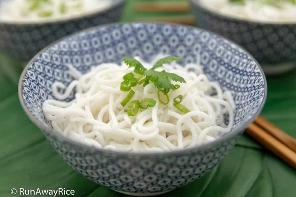 Fresh Rice Noodle / Rice Vermicelli (Bun Tuoi) - Homemade and Healthy | recipe from runawayrice.com