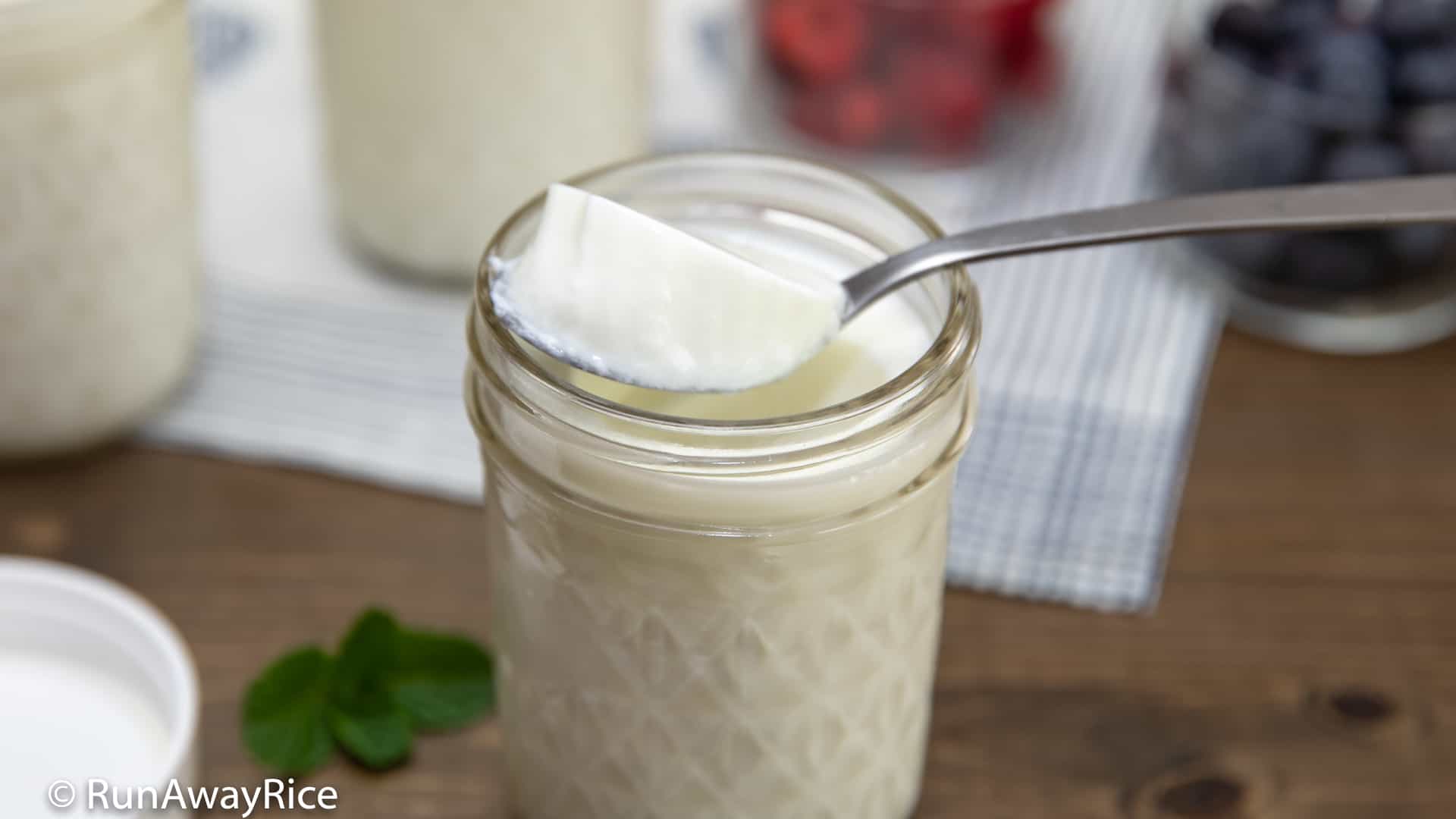 Simple Homemade Yogurt in the Instant Pot – No Fuss - The Tattooed
