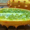 Kiwano Melon / Horned Melon - What is this Intriguing Fruit? | runawayrice.com