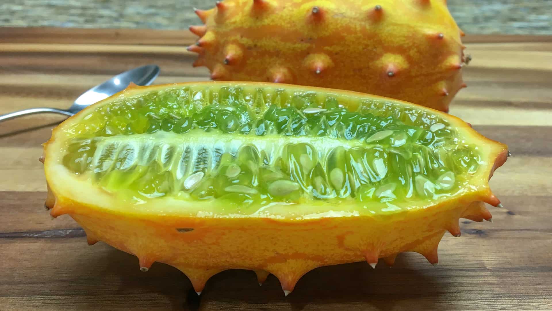 Horned jelly melon 10 Harvest 2018 seeds Organic Florida Grown Kiwano melon