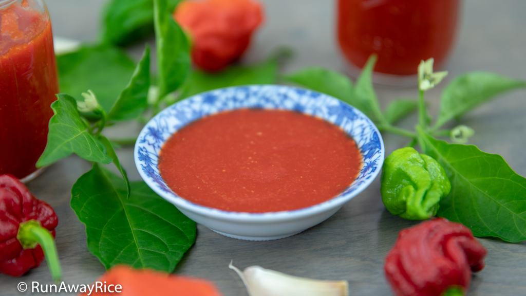 Chili Sauce / Hot Sauce (Tuong Ot) Easy Recipe with Video!