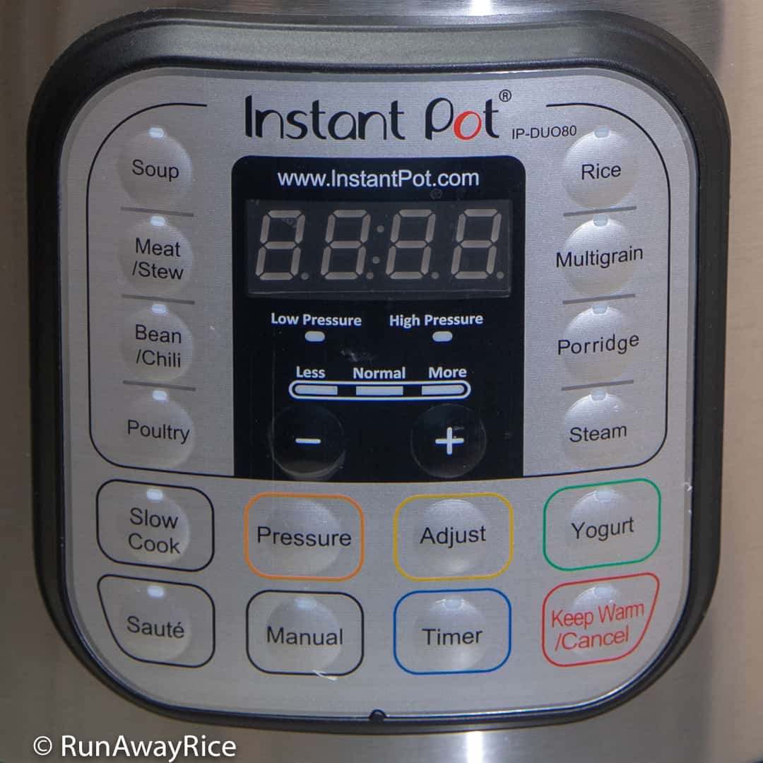 Instant Pot - Hype or Here to Stay? - RunAwayRice