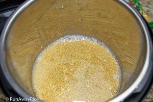 Instant Pot Mashed Mung Bean - Easy, No Soak Recipe | runawayrice.com