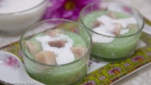 Taro Pudding (Che Khoai Mon) - Easy Instant Pot Recipe! | recipe from runawayrice.com